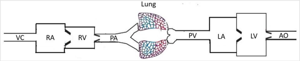 biomedres-openaccess-journal-bjstr