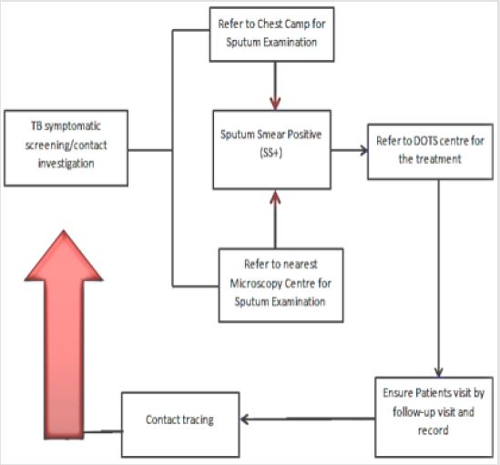 biomedres-openaccess-journal-bjstr