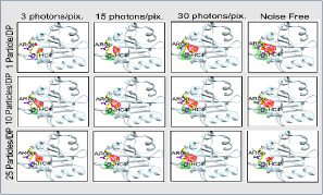 Click here to view Large Figure 1