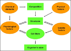 Click here to view Large Figure 4