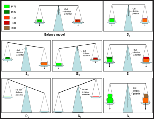 Click here to view Large Figure 5