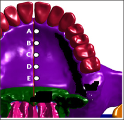 Click here to view Large Figure 4