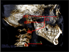 Click here to view Large Figure 6