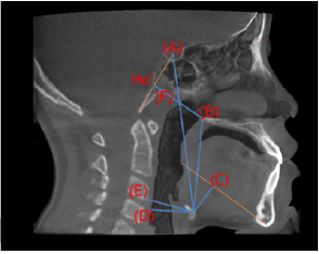 Click here to view Large Figure 8