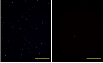 Click here to view Large Figure 5