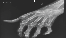 Click here to view Large Figure 2