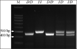 Click here to view Large Figure 1