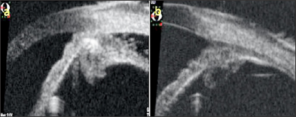 Click here to view Large Figure 2