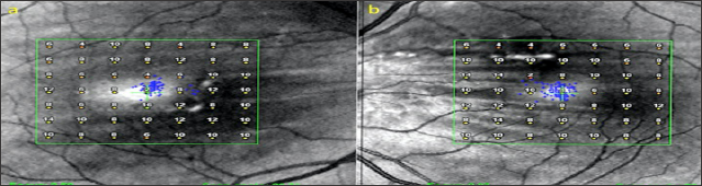 Click here to view Large Figure 8