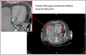 Click here to view Large Figure 3
