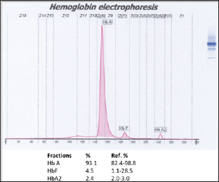 Click here to view Large Figure 3