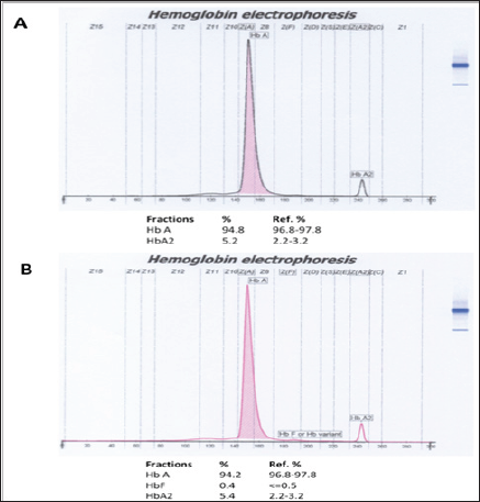 Click here to view Large Figure 4