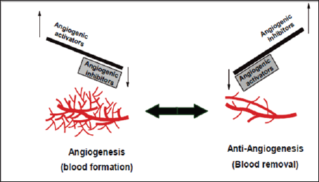 Click here to view Large Figure 1