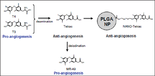 Click here to view Large Figure 2