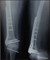 Click here to view Large Figure 6