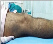 Click here to view Large Figure 7