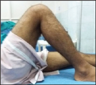 Click here to view Large Figure 8