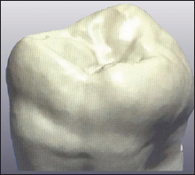 Click here to view Large Figure 1