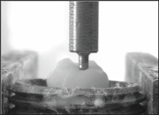 Click here to view Large Figure 4