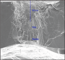 Click here to view Large Figure 6