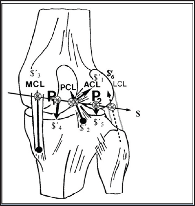 Click here to view Large Figure 1