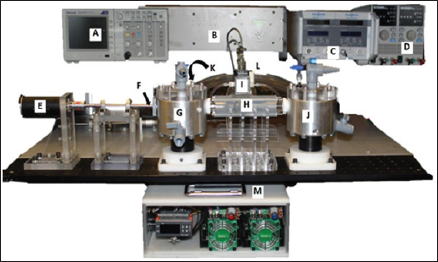 Click here to view Large Figure 3