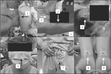 Click here to view Large Figure 1