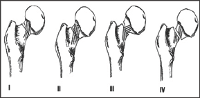 Click here to view Large Figure 1