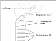 Click here to view Large Figure 2