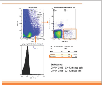 Click here to view Large Figure 2a