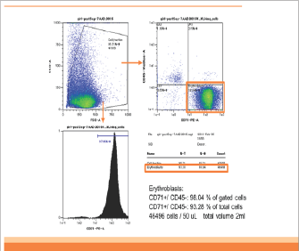 Click here to view Large Figure 2b