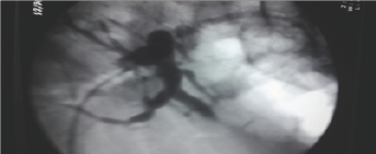 Click here to view Large Figure 2