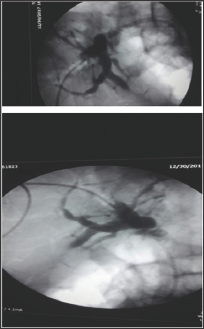 Click here to view Large Figure 3