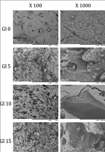 Click here to view Large Figure 2