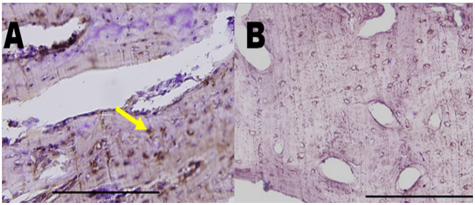 Click here to view Large Figure 1