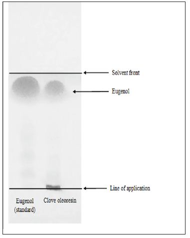 Click here to view Large Figure 1