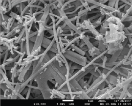 Click here to view Large Figure 1