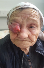 Click here to view Large Figure 5