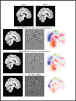 Click here to view Large figure 2