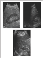 Click here to view Large Figure 1