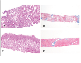 Click here to view Large Figure 2