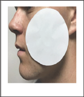 Click here to view Large Figure 12