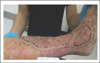 Click here to view Large Figure 8