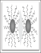 Click here to view Large Figure 2