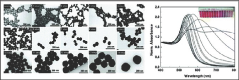 Click here to view Large Figure 3