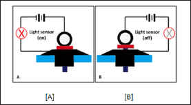 Click here to view Large Figure 2