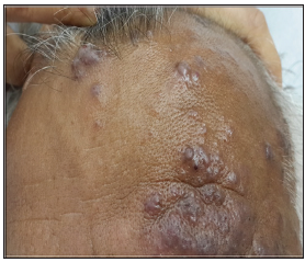 Click here to view Large Scheme 1