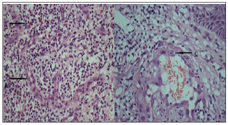 Click here to view Large Scheme 1