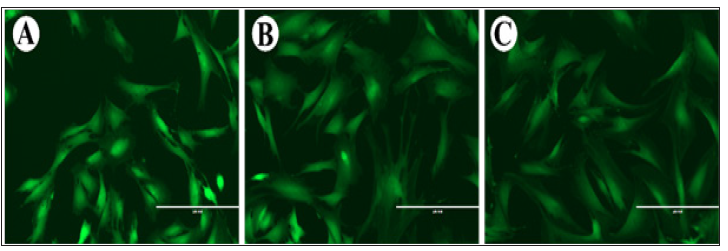 Click here to view Large Figure 1