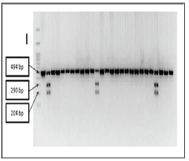 Click here to view Large Figure 1